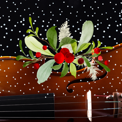 cello with greenery and snow