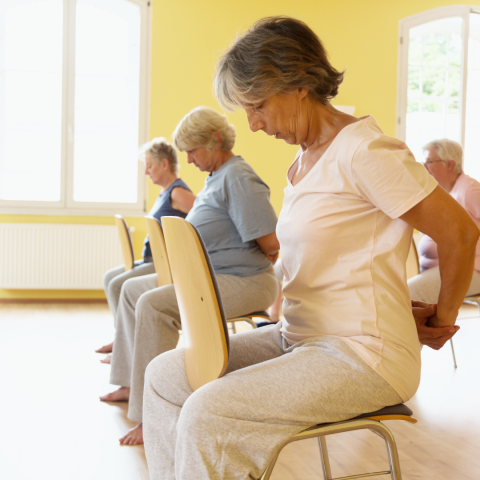 people doing chair yoga in sunny yellow room