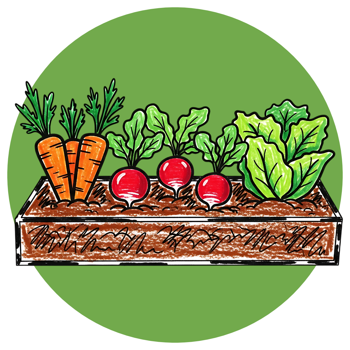 Veggies in a box against a green background